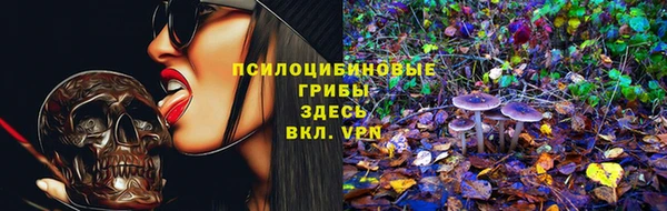 PSILOCYBIN Богданович