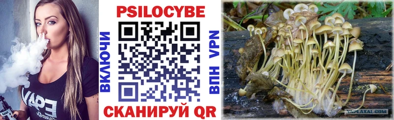 наркотики  Верхотурье  Псилоцибиновые грибы Cubensis 